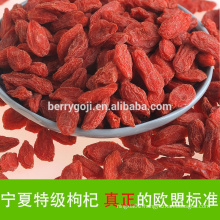 EU Standard Goji Berry Free GMO